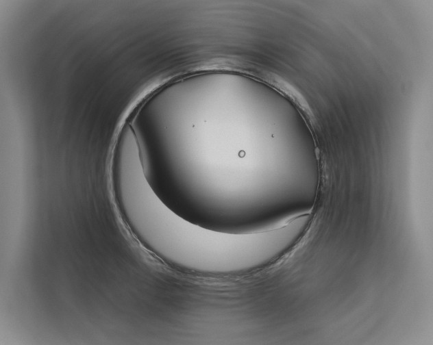 X0000112401138200909041331