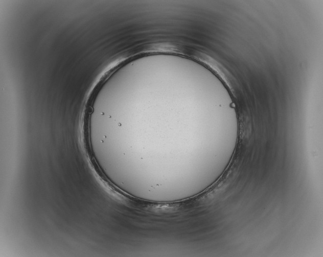 X0000112401139200909041331
