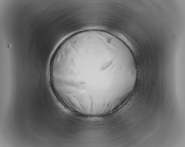 X0000112401140200909041331