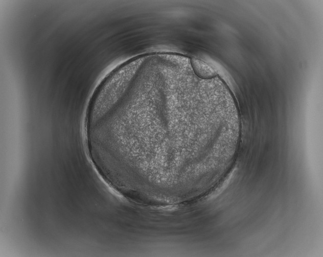 X0000112401141200909041331