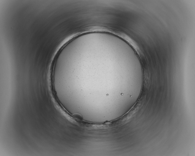 X0000112401142200909041331