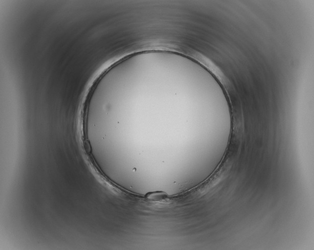 X0000112401144200909041331