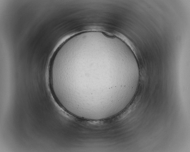 X0000112401147200909041331