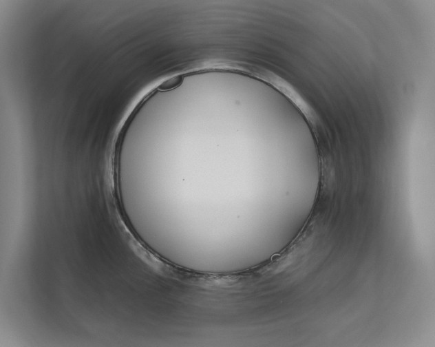 X0000112401148200909041331