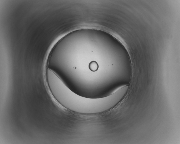 X0000112401152200909041331