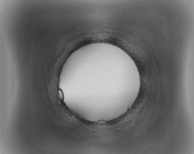 X0000112401153200909041330