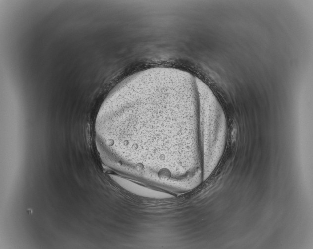 X0000112401156200909041330