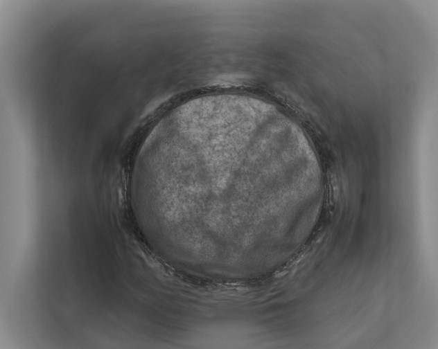 X0000112401158200909041330