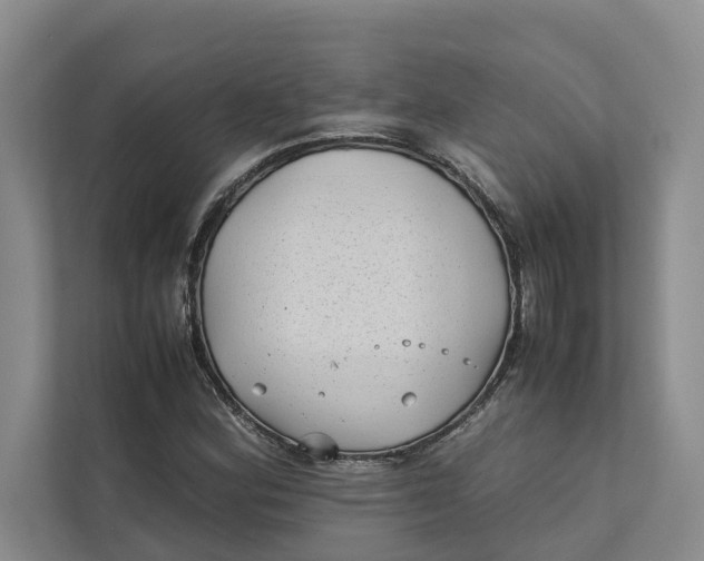 X0000112401164200909041330
