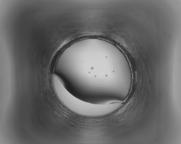 X0000112401165200909041330