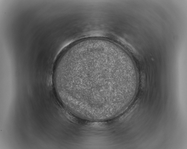 X0000112401166200909041330