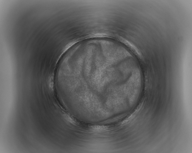 X0000112401170200909041330