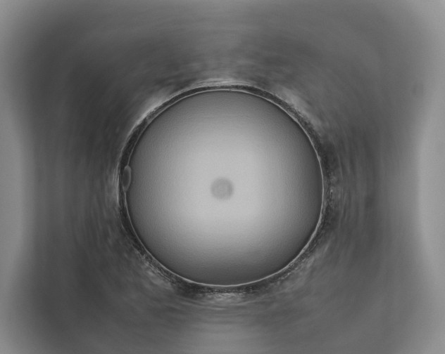 X0000112401173200909041330
