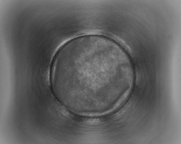 X0000112401174200909041330