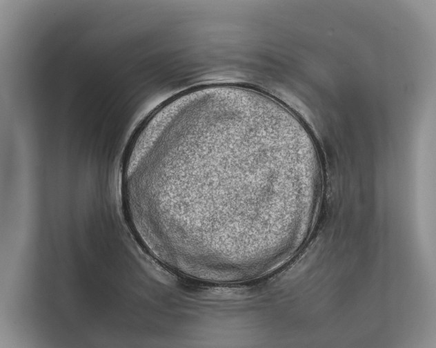 X0000112401179200909041330