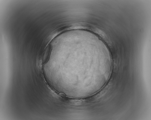 X0000112401185200909041330