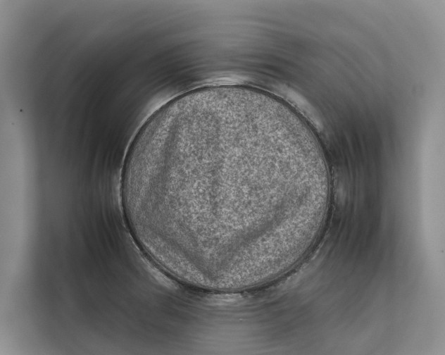 X0000112401186200909041330