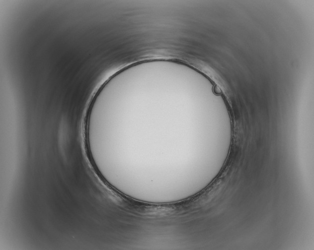 X0000112401187200909041330