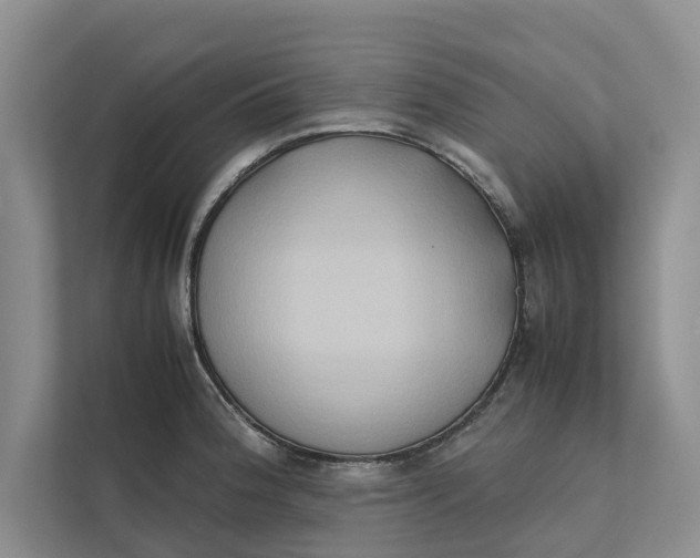 X0000112401188200909041330