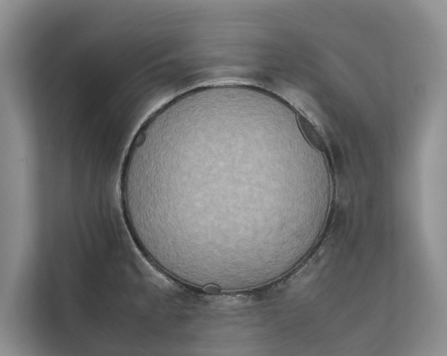 X0000112401189200909041330
