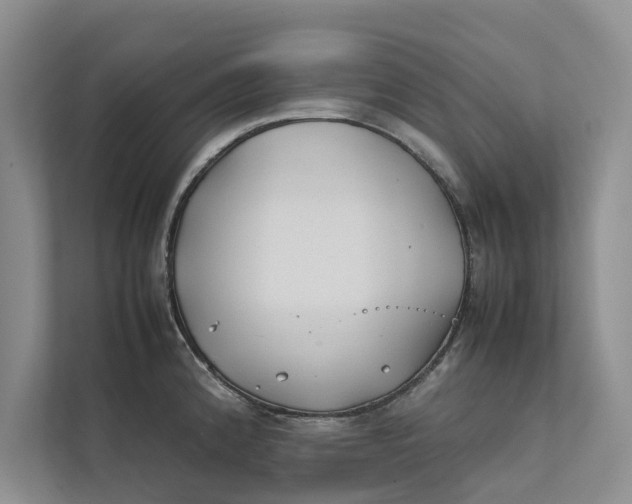 X0000112401192200909041330