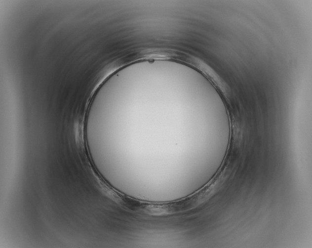 X0000112401194200909041330