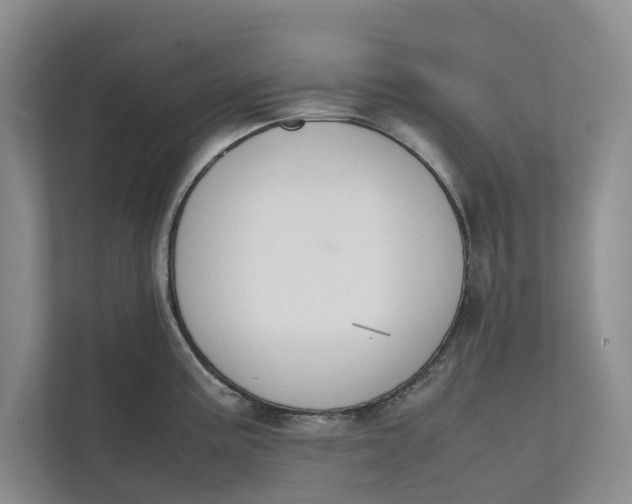 X0000112401195200909041330