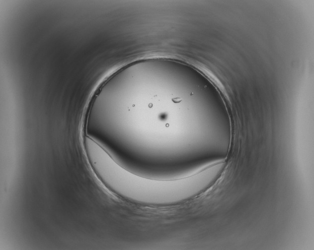 X0000112401197200909041330