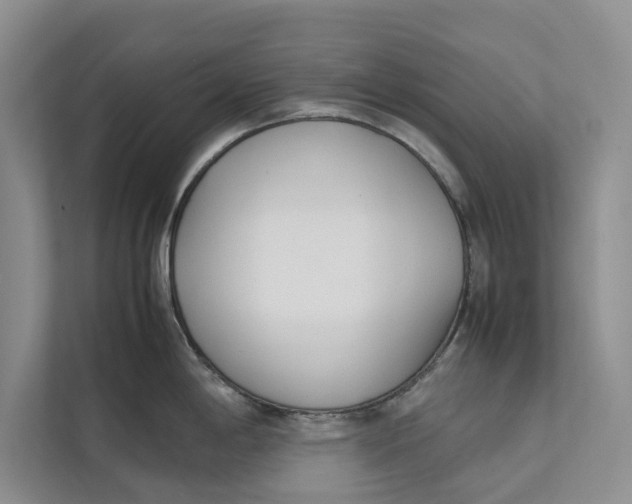 X0000112401198200909041330