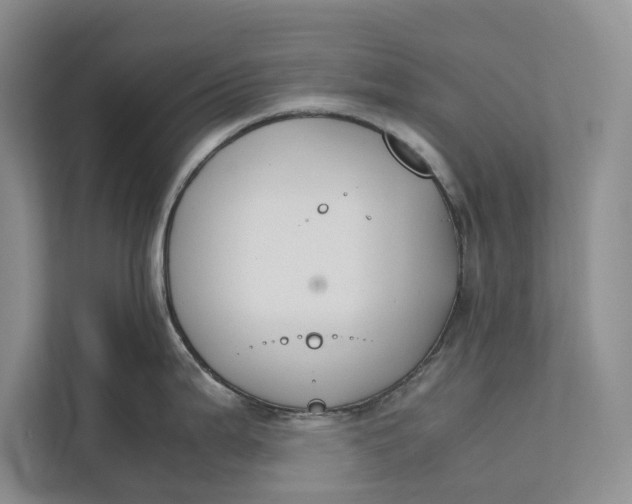 X0000112401199200909041330