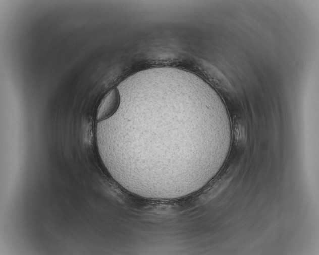 X0000112401204200909041329