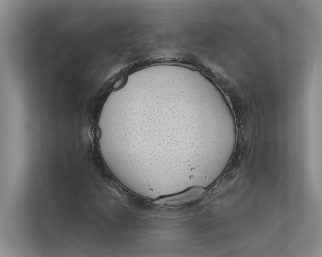 X0000112401206200909041329