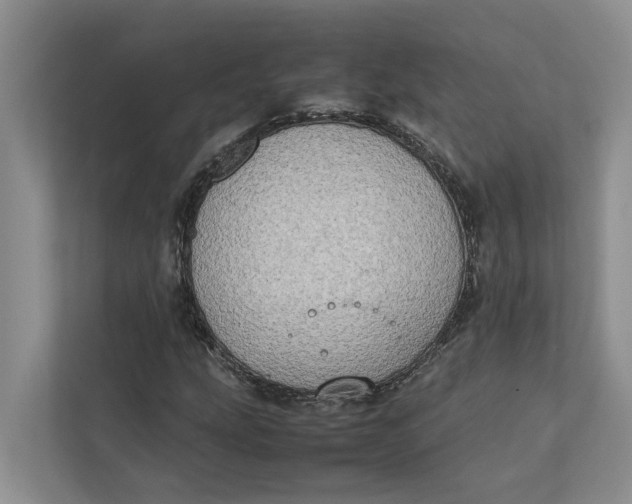 X0000112401207200909041329