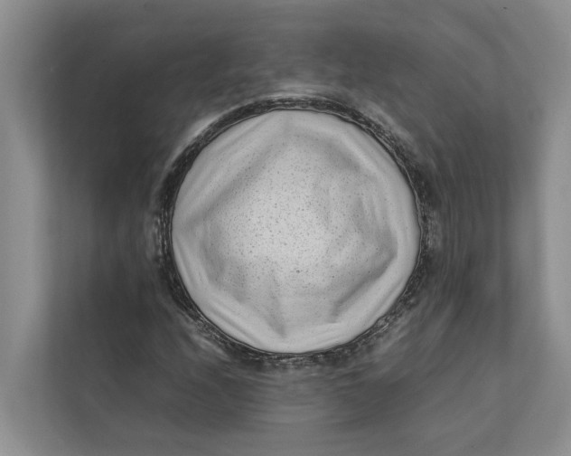 X0000112401208200909041329