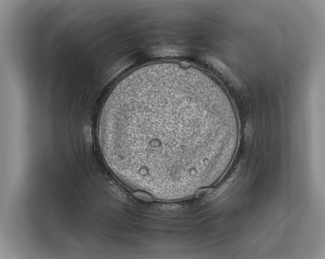 X0000112401209200909041329