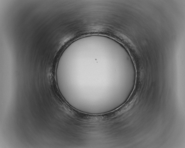 X0000112401210200909041329