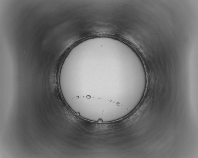X0000112401211200909041329