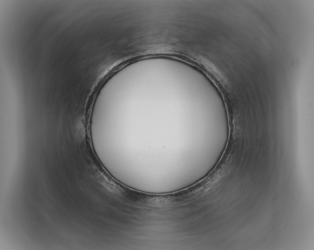 X0000112401212200909041329