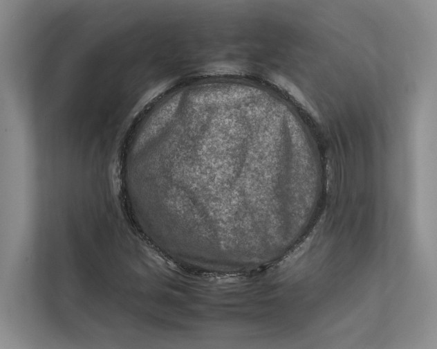 X0000112401213200909041329