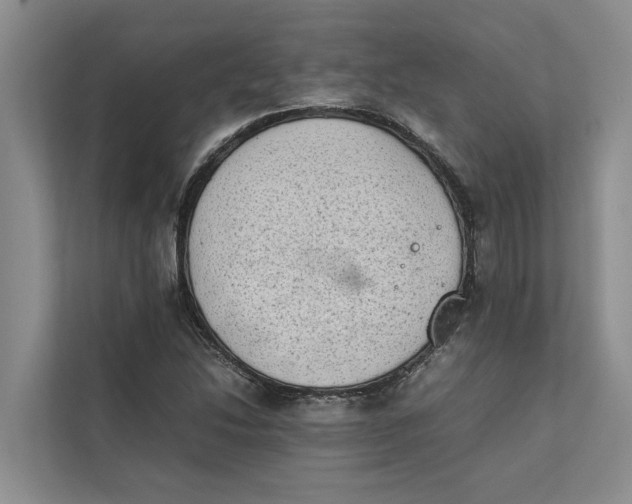 X0000112401214200909041329