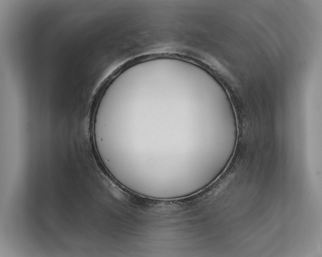X0000112401216200909041329