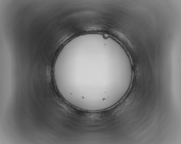 X0000112401217200909041329