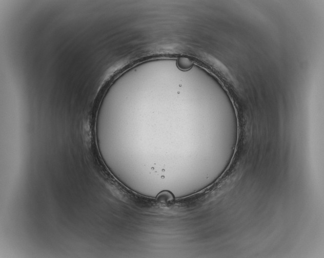 X0000112401218200909041329