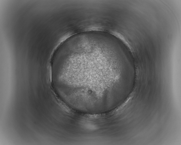 X0000112401219200909041329