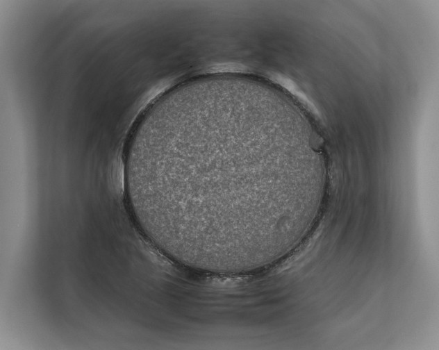 X0000112401221200909041329