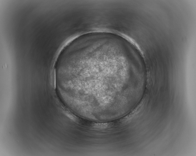 X0000112401223200909041329