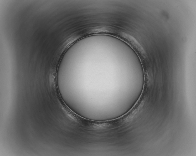 X0000112401225200909041329