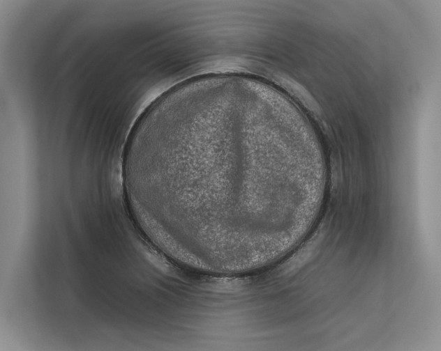X0000112401226200909041329