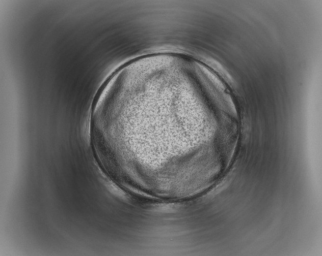 X0000112401228200909041329