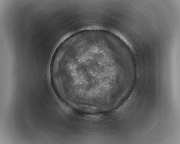 X0000112401229200909041329